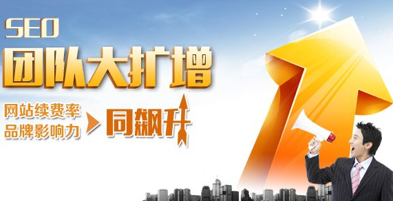 seo团队